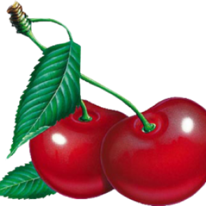red cherry PNG image, free download