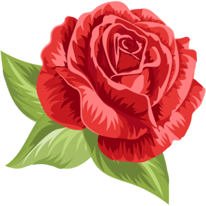 Rose PNG