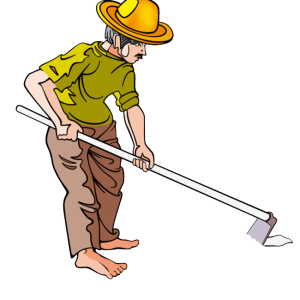 Farmer PNG