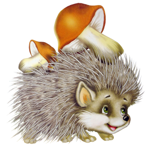 Hedgehog PNG