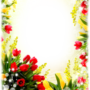 Floral frame PNG