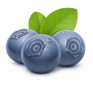 Blueberries PNG