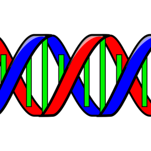 DNA PNG