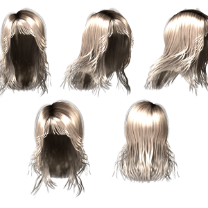 Hair wig PNG