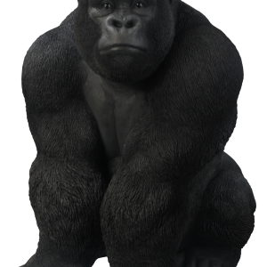 Gorilla PNG
