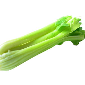 Celery PNG