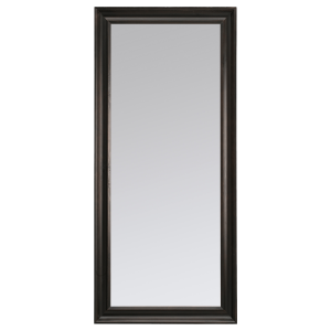Mirror PNG