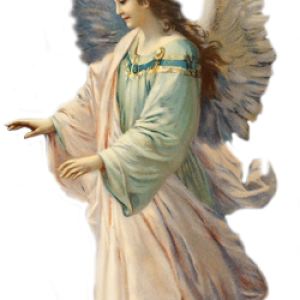 Angel PNG