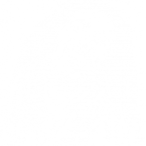 Bob Marley PNG