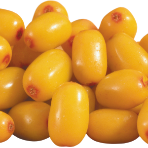 Sea buckthorn PNG
