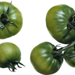 green tomatoes PNG