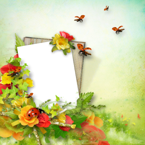 Floral frame PNG