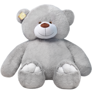 Teddy bear PNG