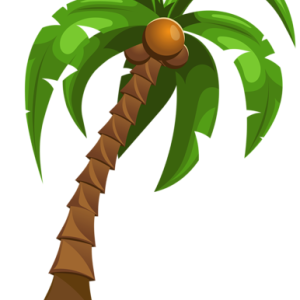 Palm tree PNG