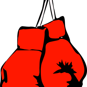 boxing gloves PNG