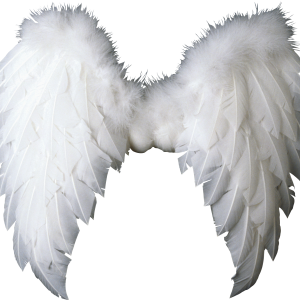 Wings PNG