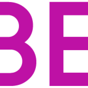 Wildberries logo PNG