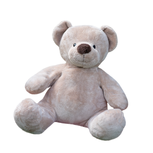 Teddy bear PNG
