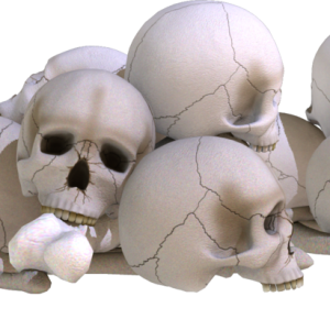 Skull