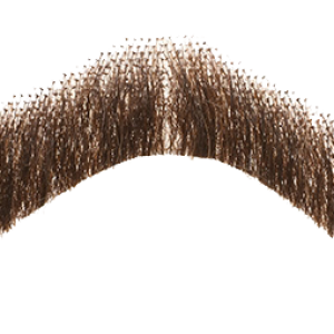 Moustache PNG