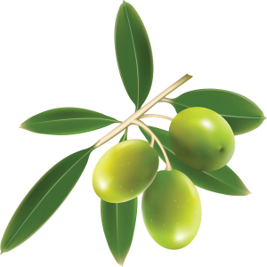 Green olives PNG