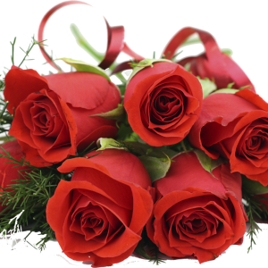 Rose PNG