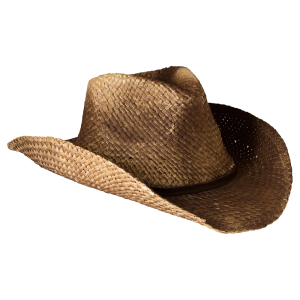 Cowboy hat PNG