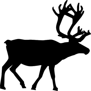 Santa Claus's reindeer PNG