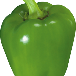 Green pepper PNG image