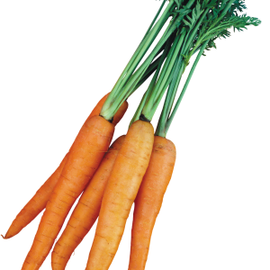 Carrot PNG