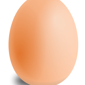 egg PNG