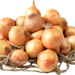 Onion PNG