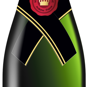 Champagne bottle PNG