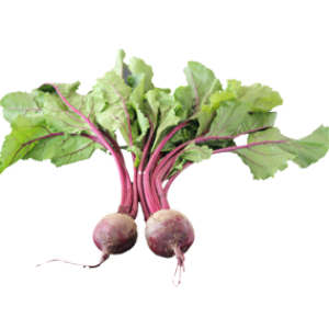 Beet PNG