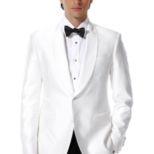 Groom PNG