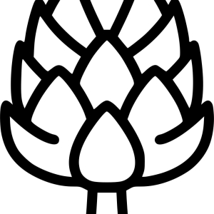 Artichoke PNG