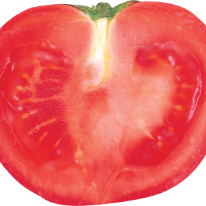 Cut tomato PNG