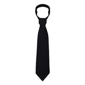 Tie PNG image