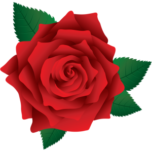 Rose PNG