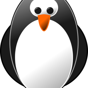 Linux logo PNG