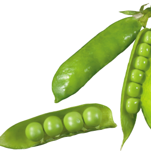 Pea PNG