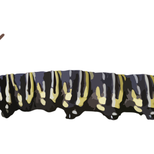Caterpillar PNG