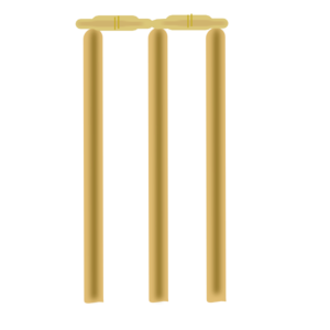 Cricket PNG