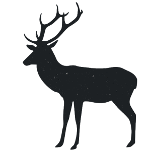 Santa Claus's reindeer PNG