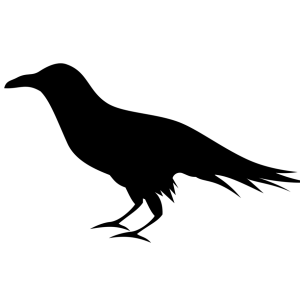 Raven PNG