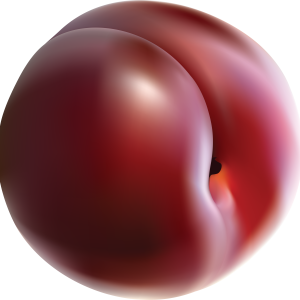 Plum PNG image