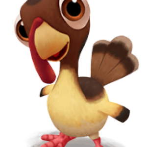 Turkey bird PNG
