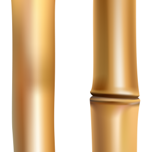 Bamboo PNG