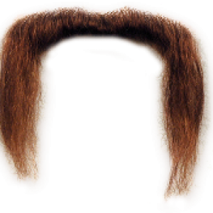 Moustache PNG image