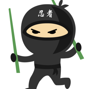 Ninja PNG